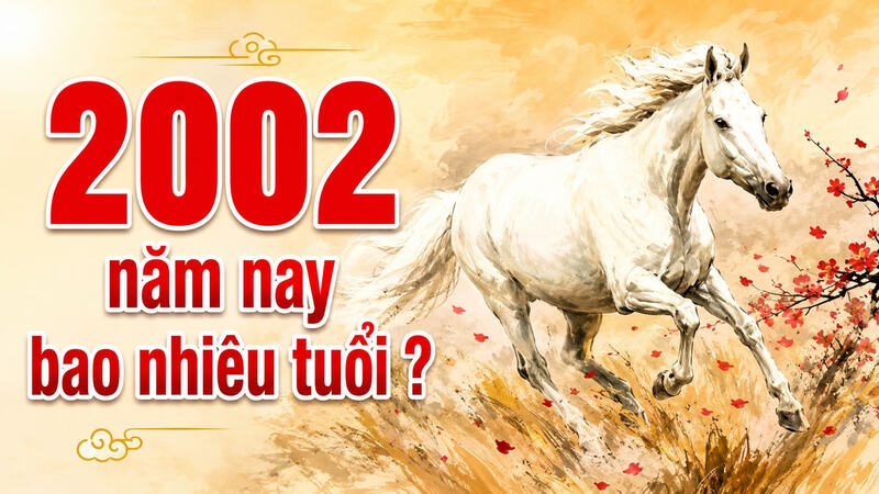 2002 bao nhiêu tuổi? Năm 2026 học lớp mấy?
