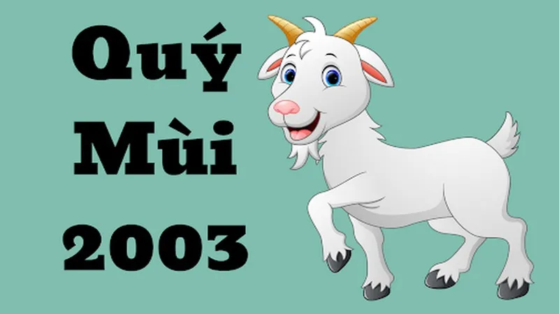 2003 năm nay bao nhiêu tuổi 2026