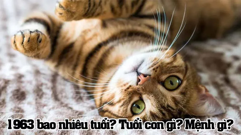 Sinh năm 1963 tuổi con gì