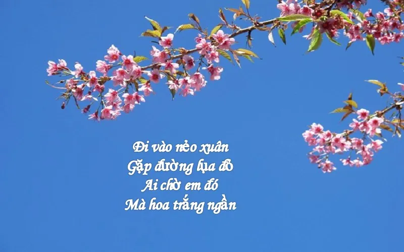 Thơ hay về mùa xuân