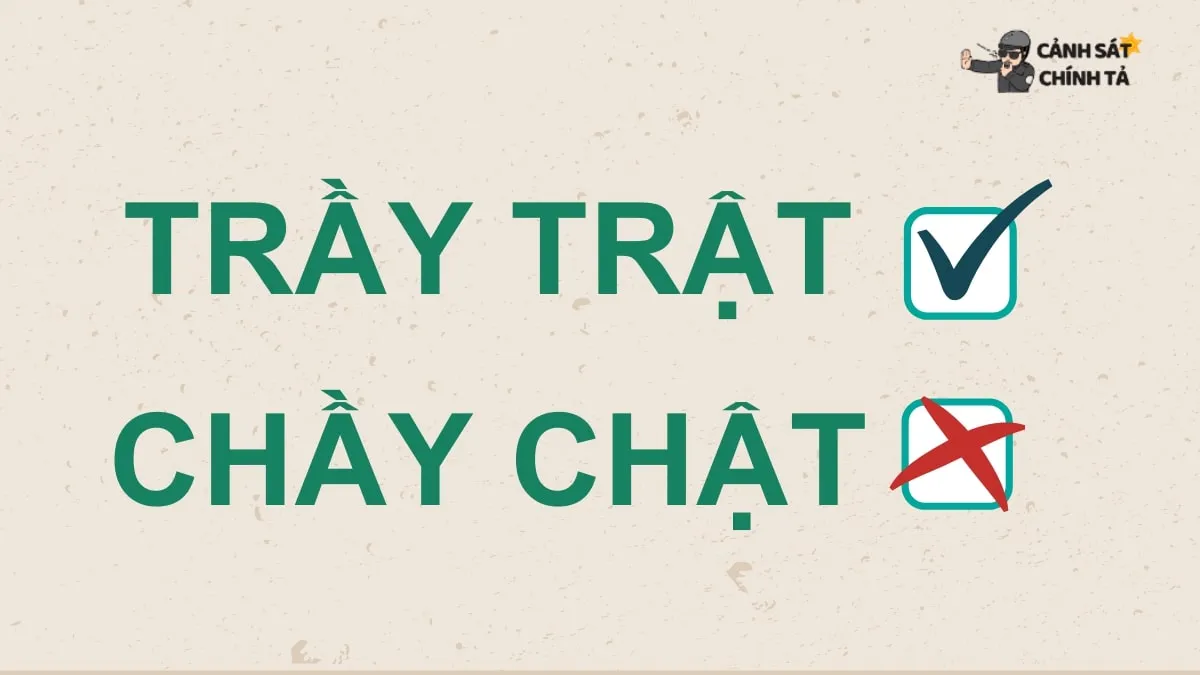 Trầy trật hay chầy chật