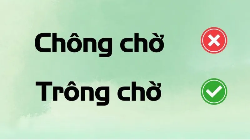 trông chờ hay chông chờ