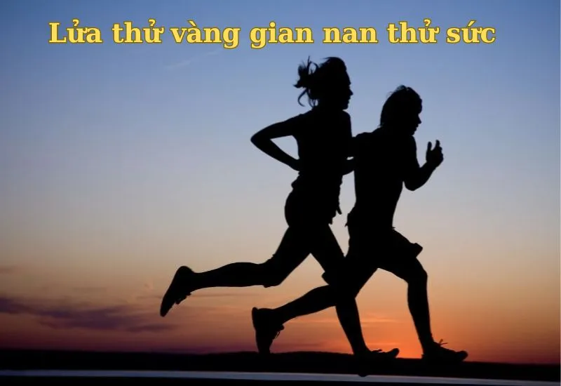 câu thành ngữ về sự cố gắng