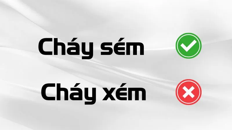 Cháy xém hay cháy sém