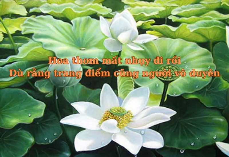 những câu tục ngữ nói về người vô duyên