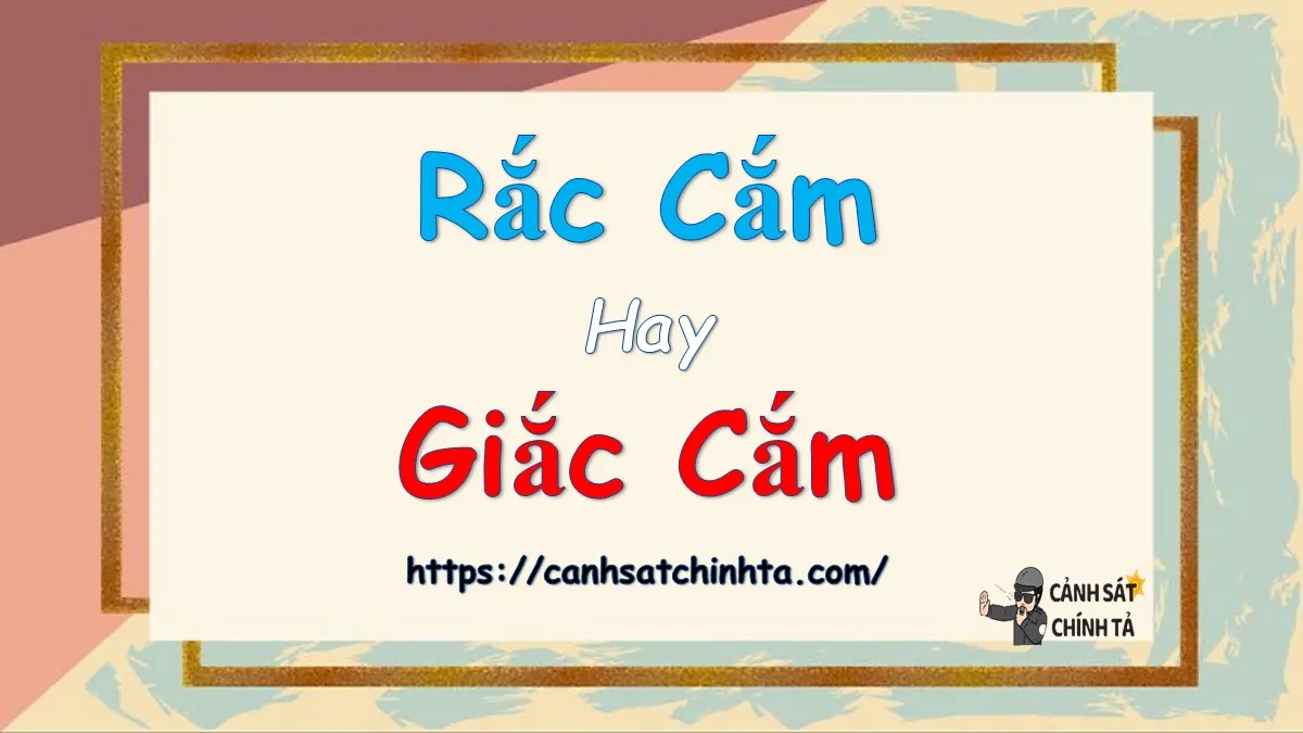 Rắc cắm hay Giắc cắm