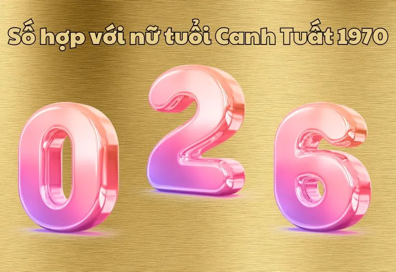 tuổi Canh Tuất hợp số mấy