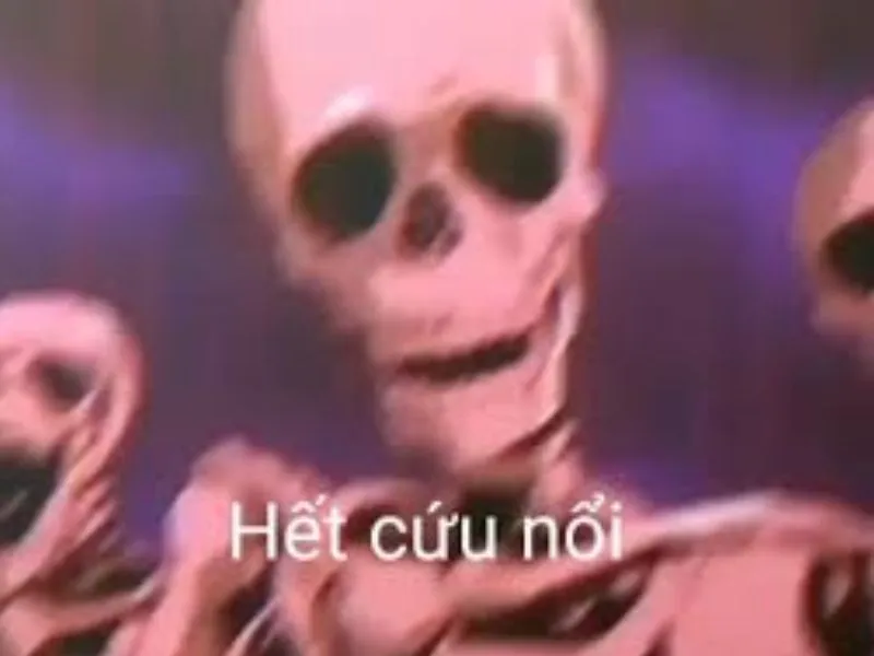 ảnh meme hết cứu hài hước
