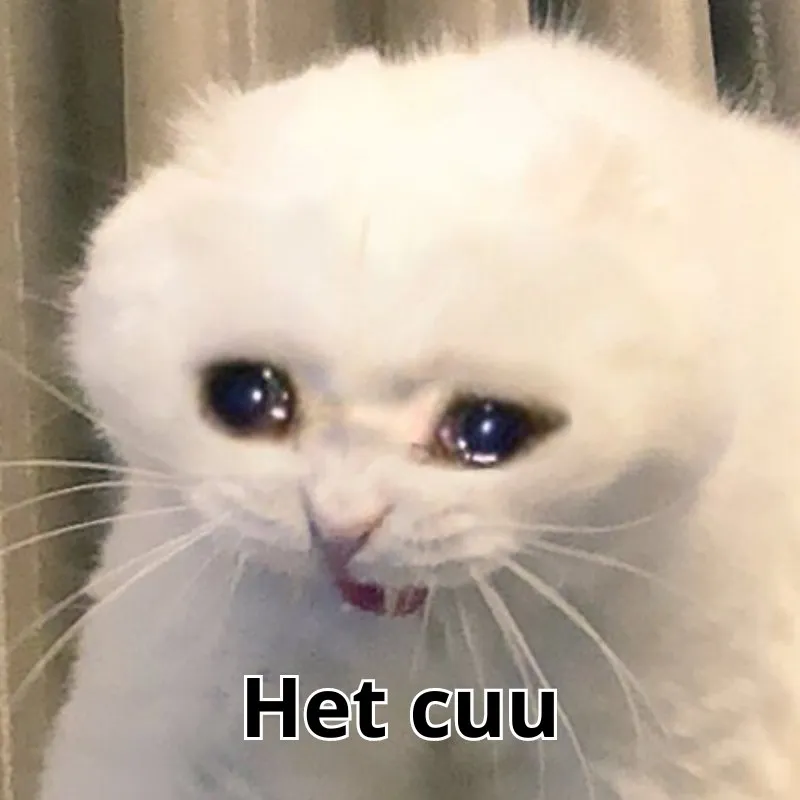 ảnh meme nghỉ cứu
