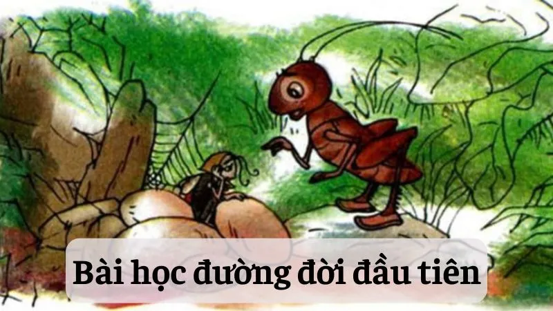 Bài học đường đời đầu tiên lớp 6