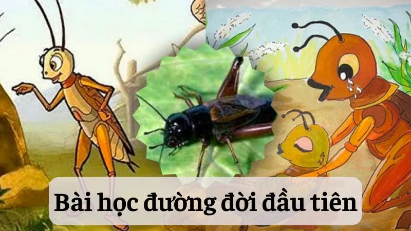 Bài học đường đời đầu tiên