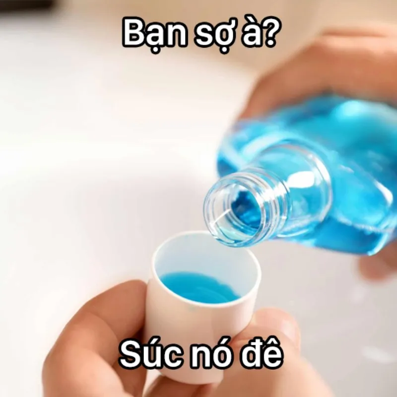 bạn sợ nó à meme