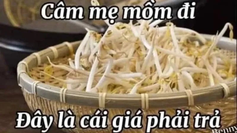 câm mẹ mồm đi meme