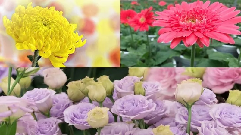 lễ vật cúng xe máy mới mua