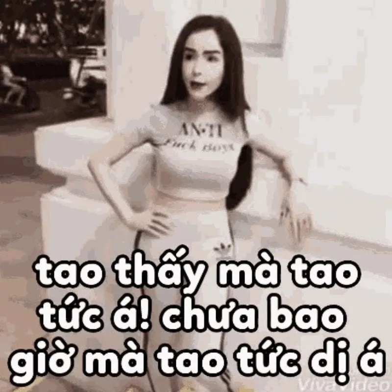 Linda Cẩm Lan Sục meme