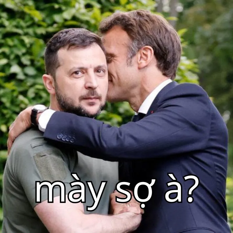 mày sợ à meme hài hước