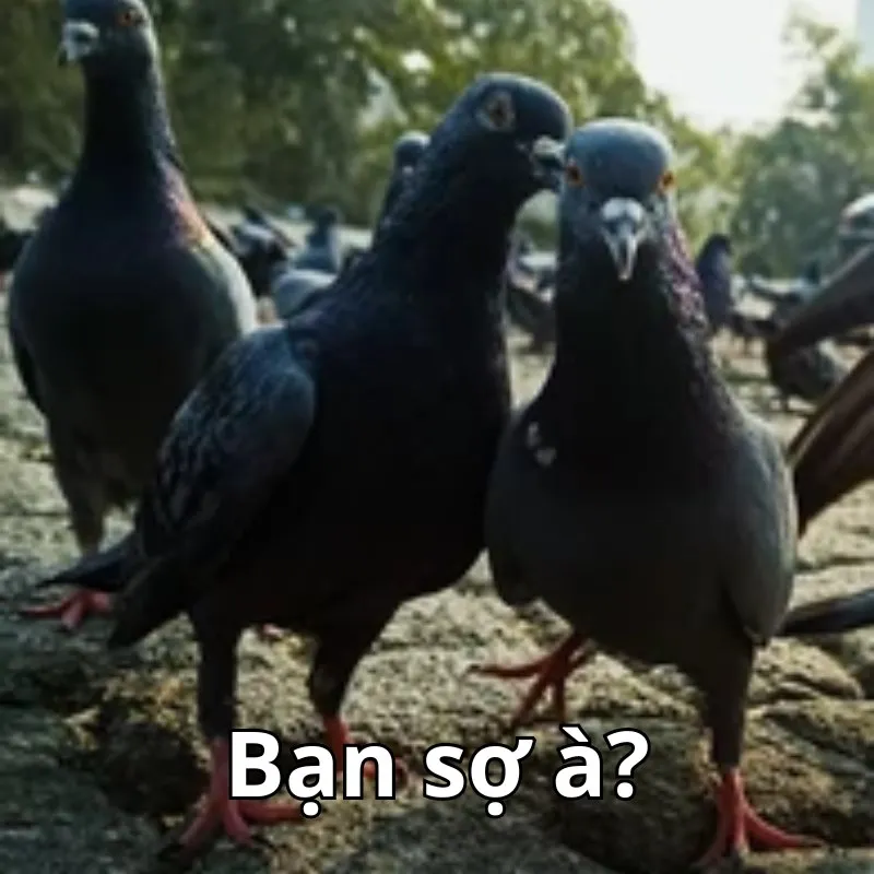 mày sợ à meme hài