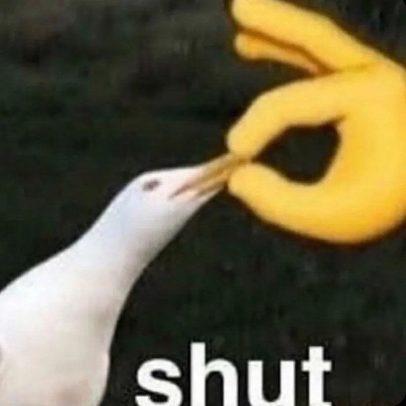 meme câm ngay lại