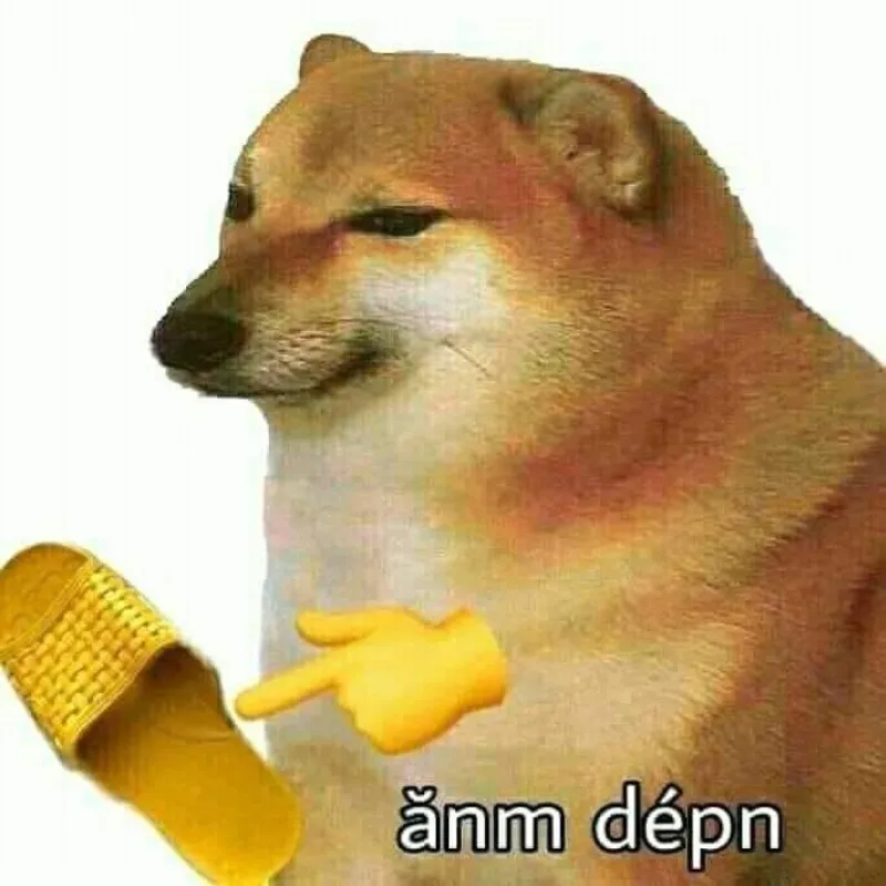 Meme chọi dép