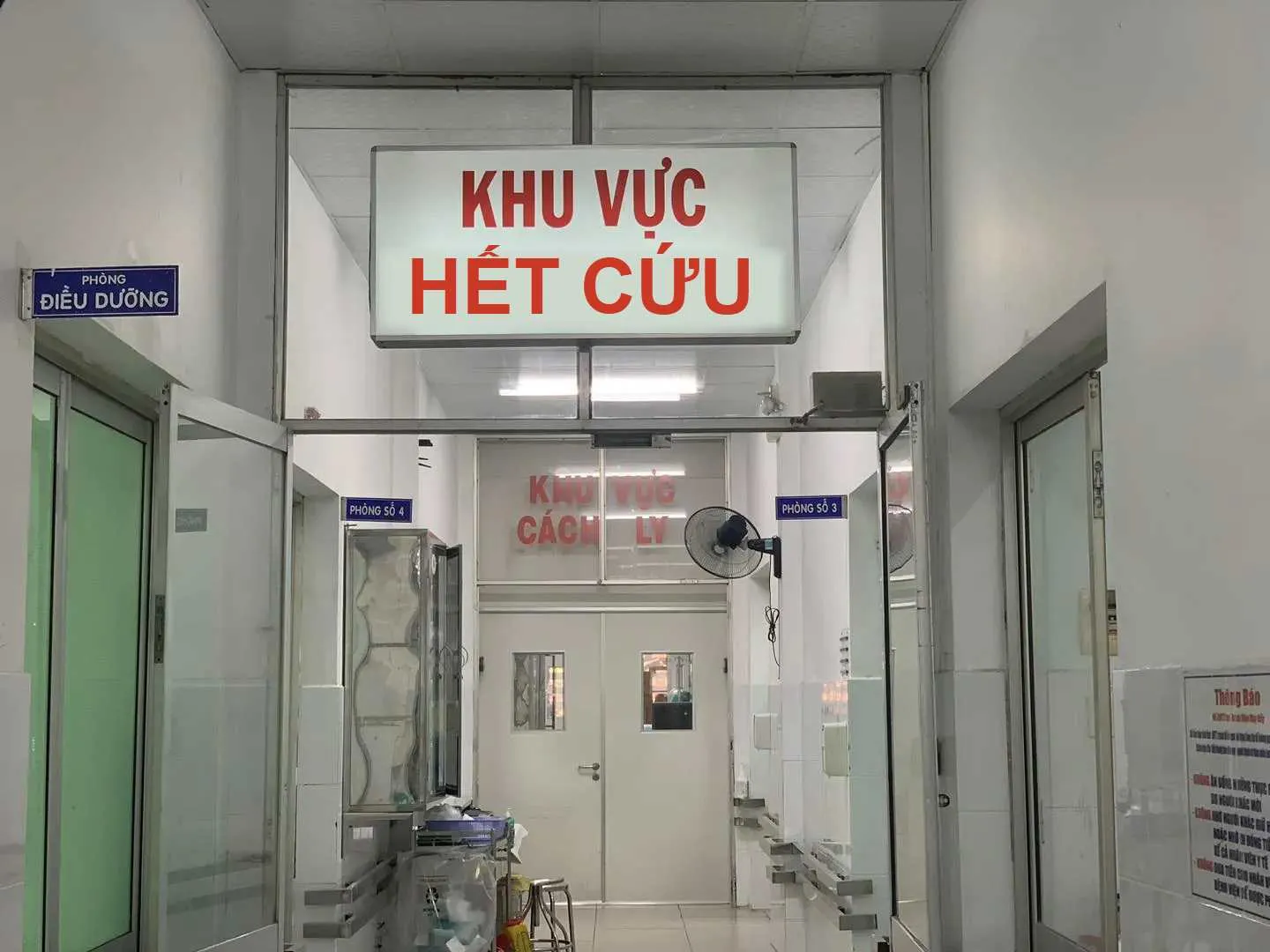 meme cứu tao