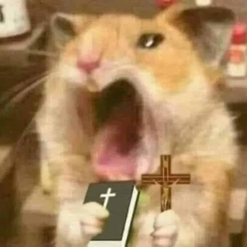 meme hamster cầm thánh giá