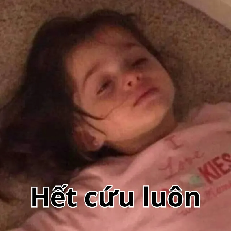 Meme hết cứu luôn