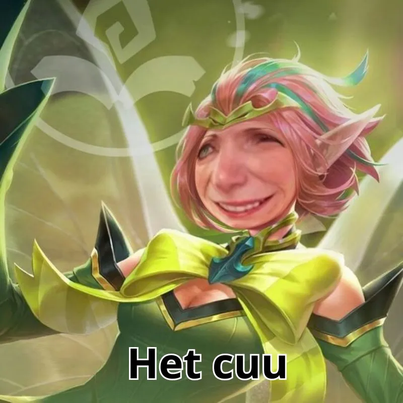 meme hết cứu vui