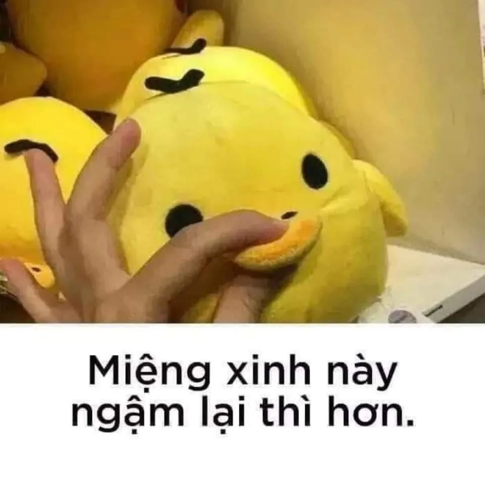 meme im mồm