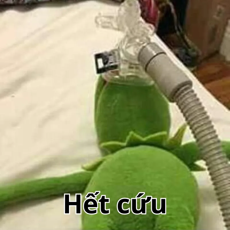 meme khỏi cứu hài hước