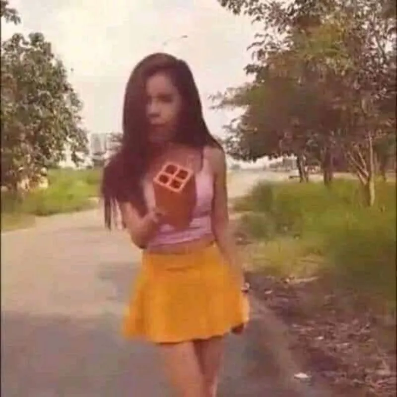 meme Linda cầm gạch ống