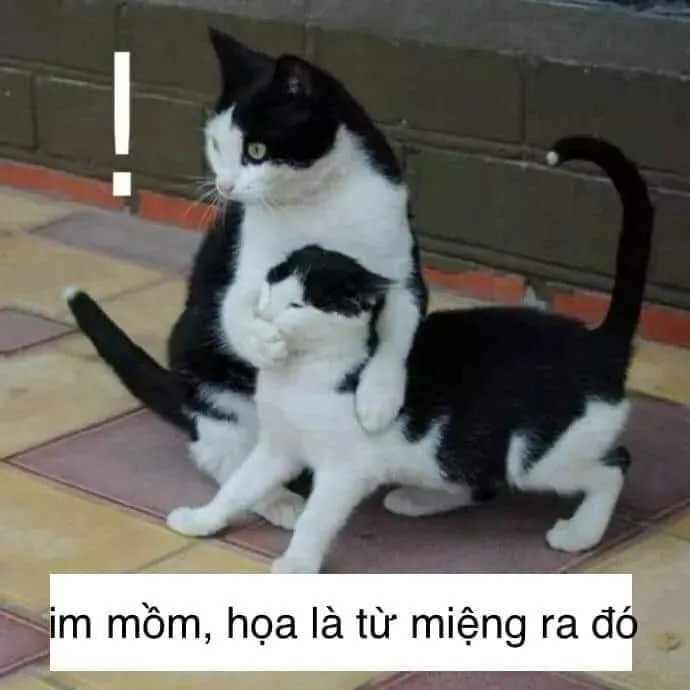 meme mày câm mồm đi
