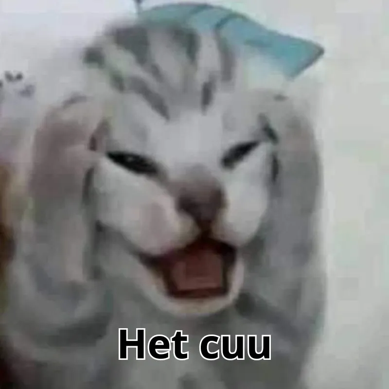 Meme nghỉ cứu hài hước