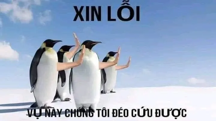 meme nghỉ cứu