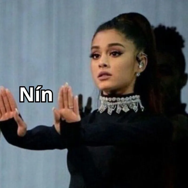meme nín lại