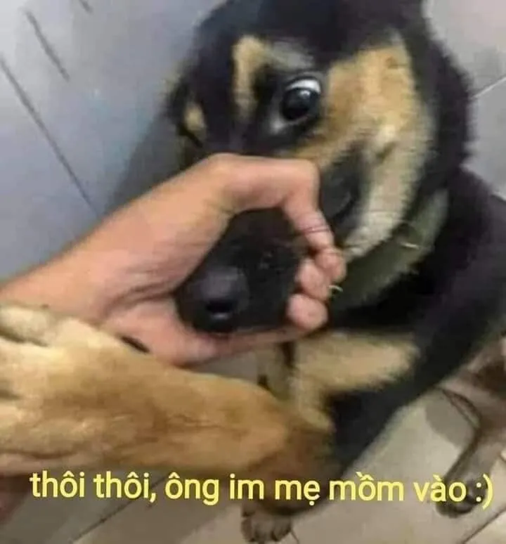 meme nói ít thôi