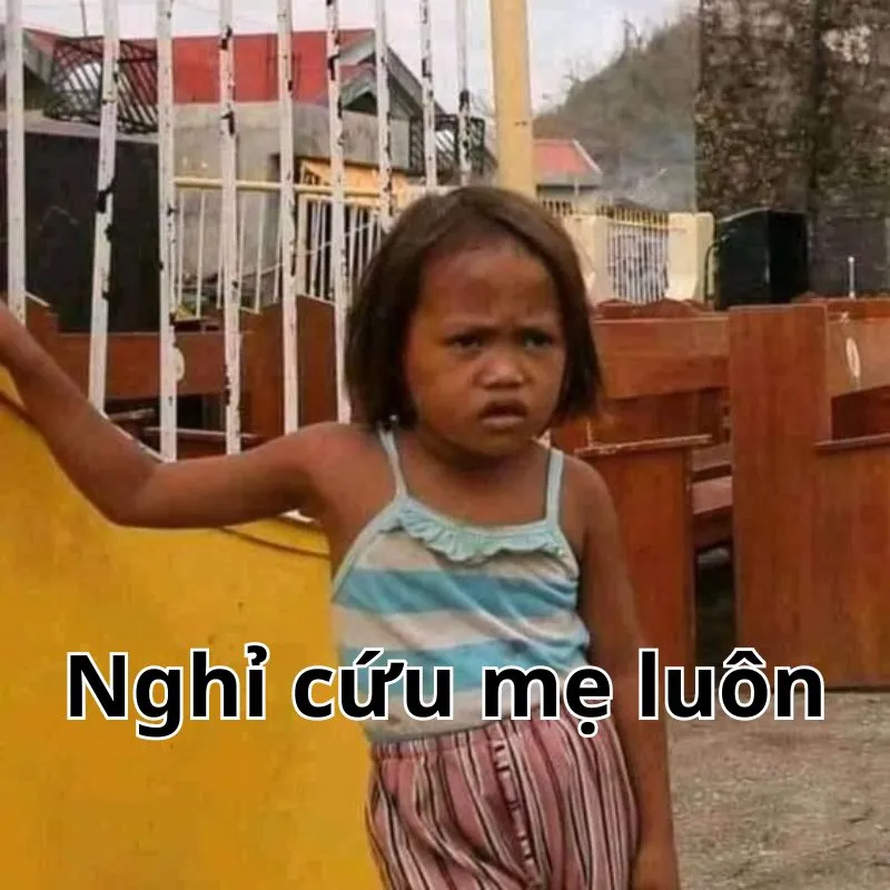 nghỉ cứu meme