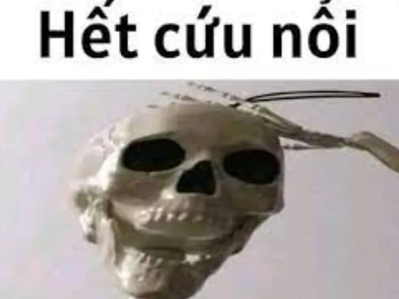 nguồn gốc meme hết cứu