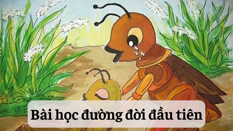 phân tích nhân vật Dế Mèn trong Bài học đường đời đầu tiên