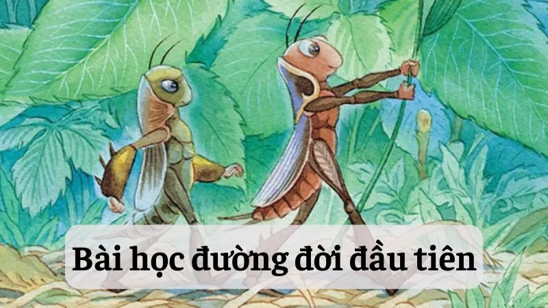 phân tích tác phẩm Bài học đường đời đầu tiên