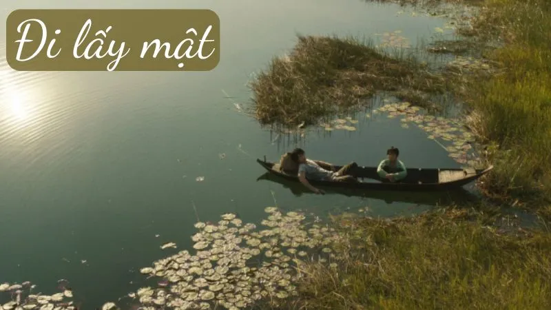 Soạn văn 7 Đi lấy mật