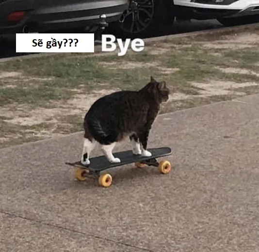 Ảnh chế meme sẽ gầy