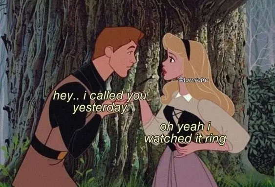 ảnh meme chế công chúa ngủ trong rừng