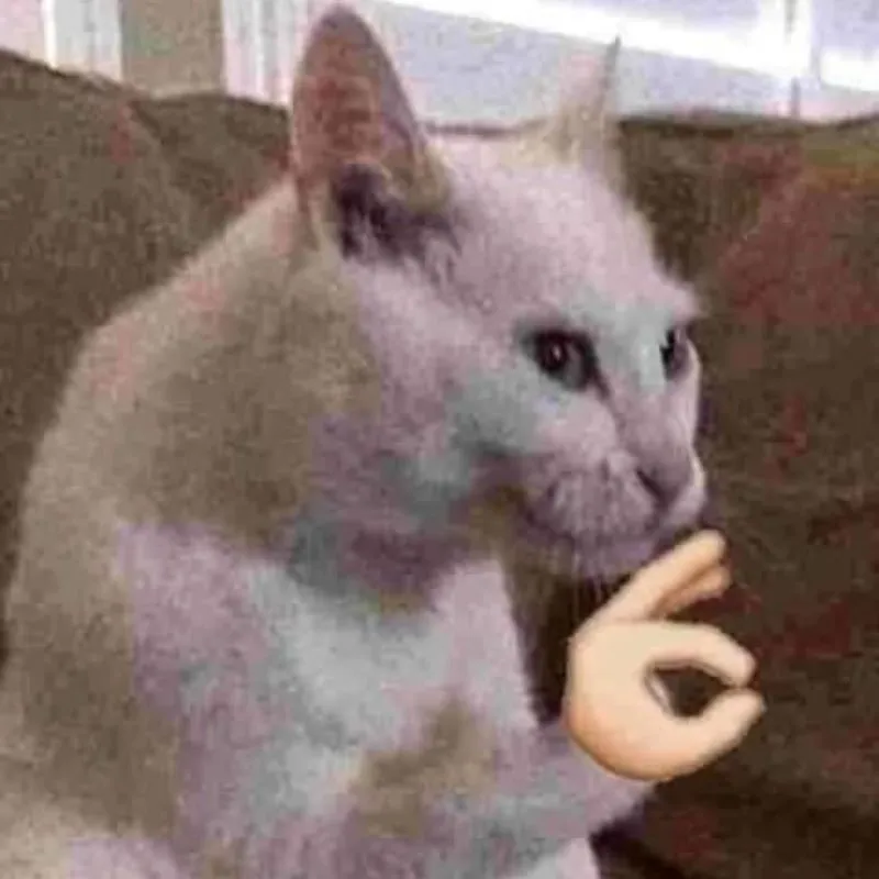 ảnh meme mèo ok