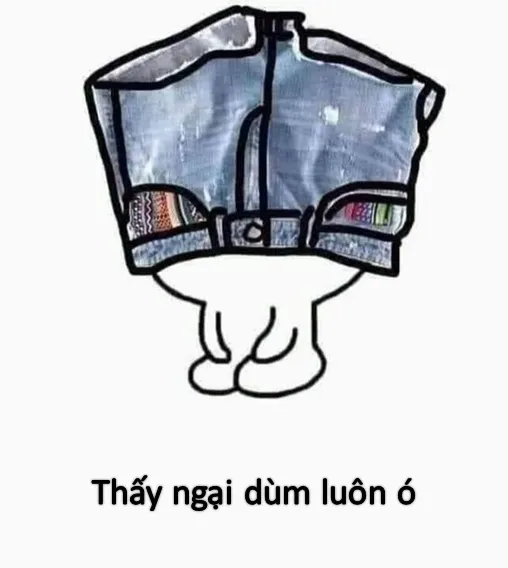 ảnh meme nghĩa là j