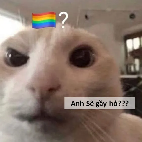 Ảnh meme sẽ gầy