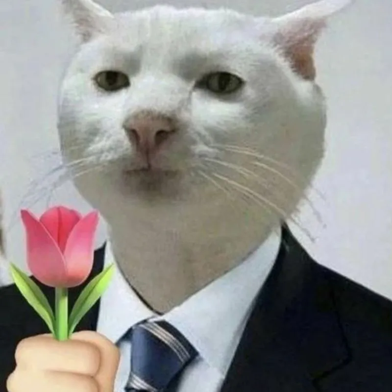 ảnh mèo tặng hoa meme