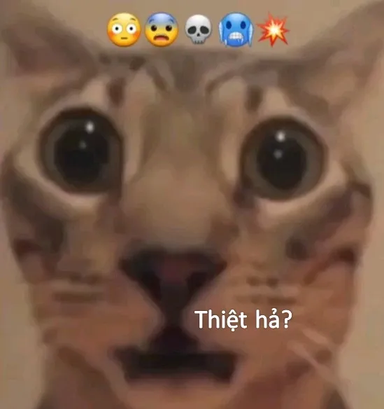 Bất ngờ meme