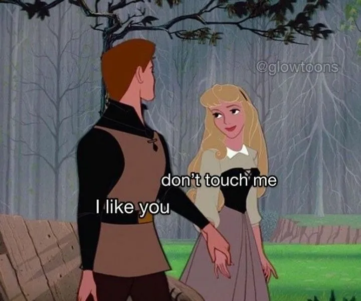 công chúa ngủ trong rừng meme chảnh