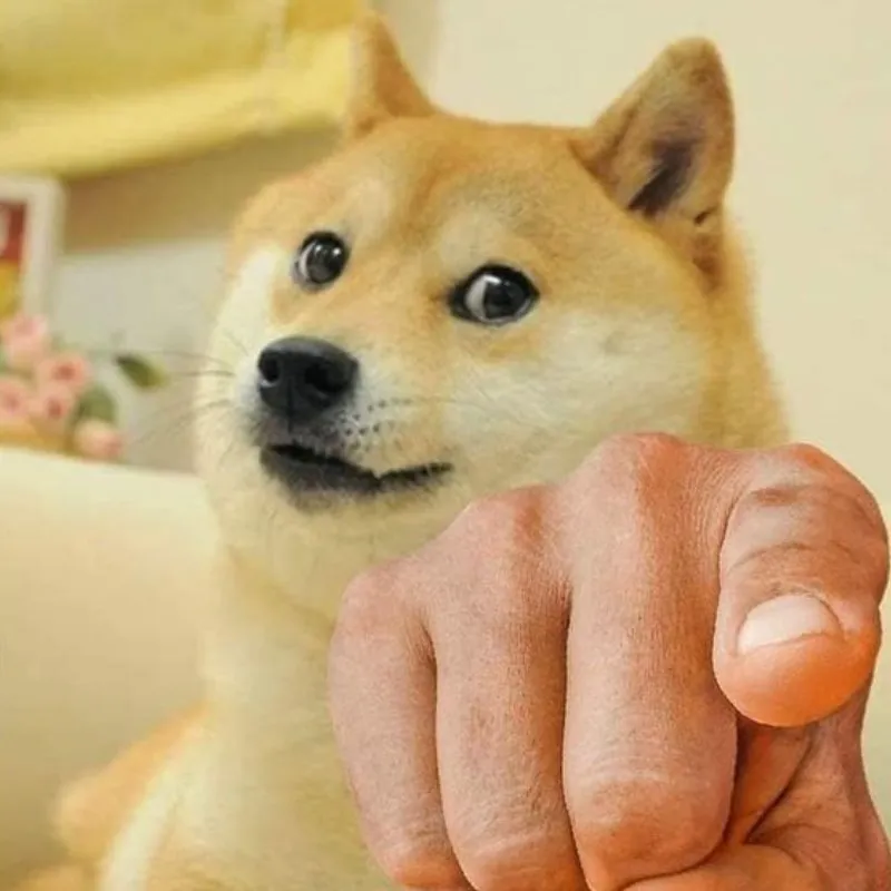 hình meme chó chỉ tay