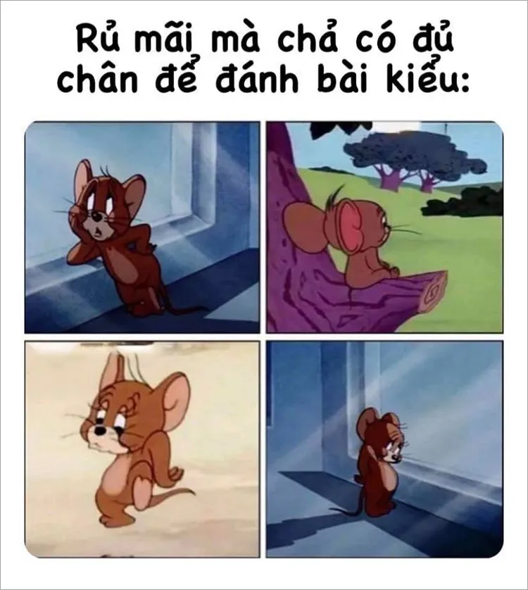 jerry meme hài hước